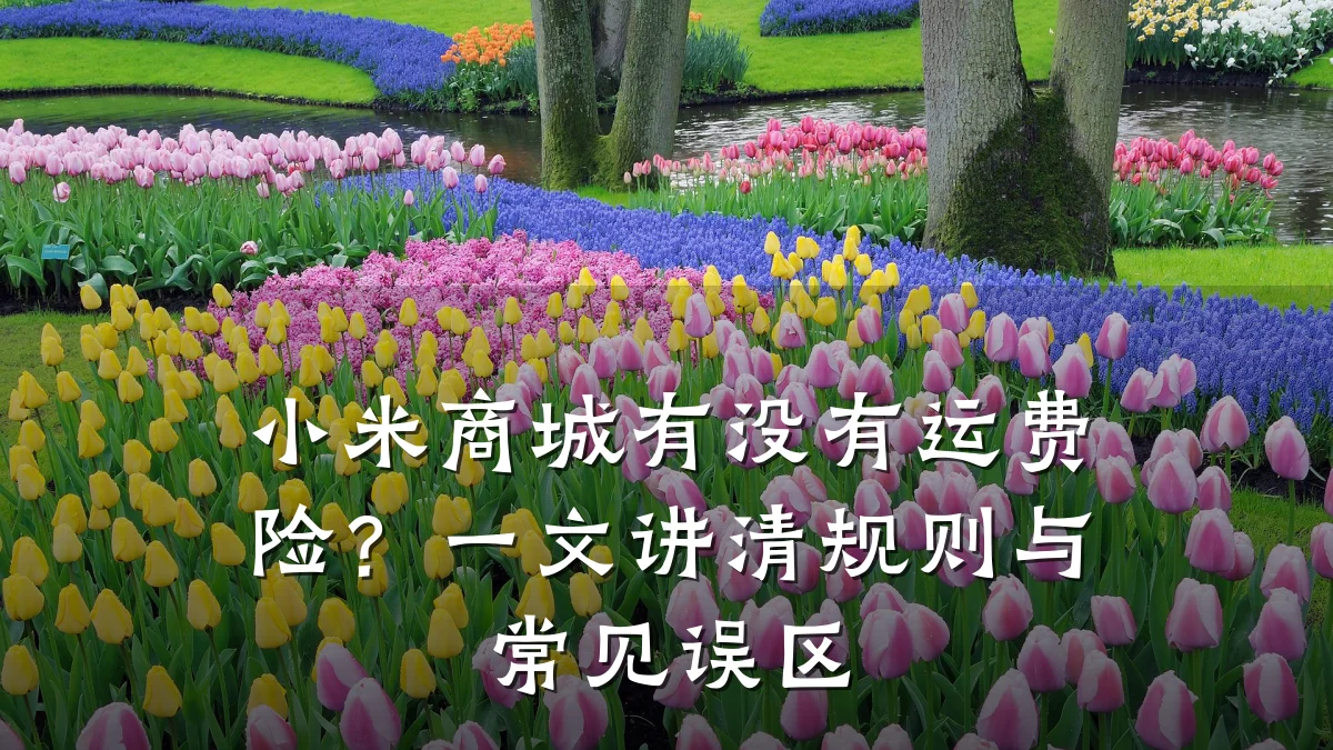 小米商城有没有运费险?一文讲清规则与常见误区