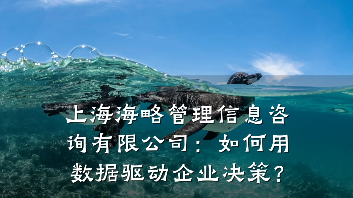 上海海略管理信息咨询有限公司：如何用数据驱动企业决策？