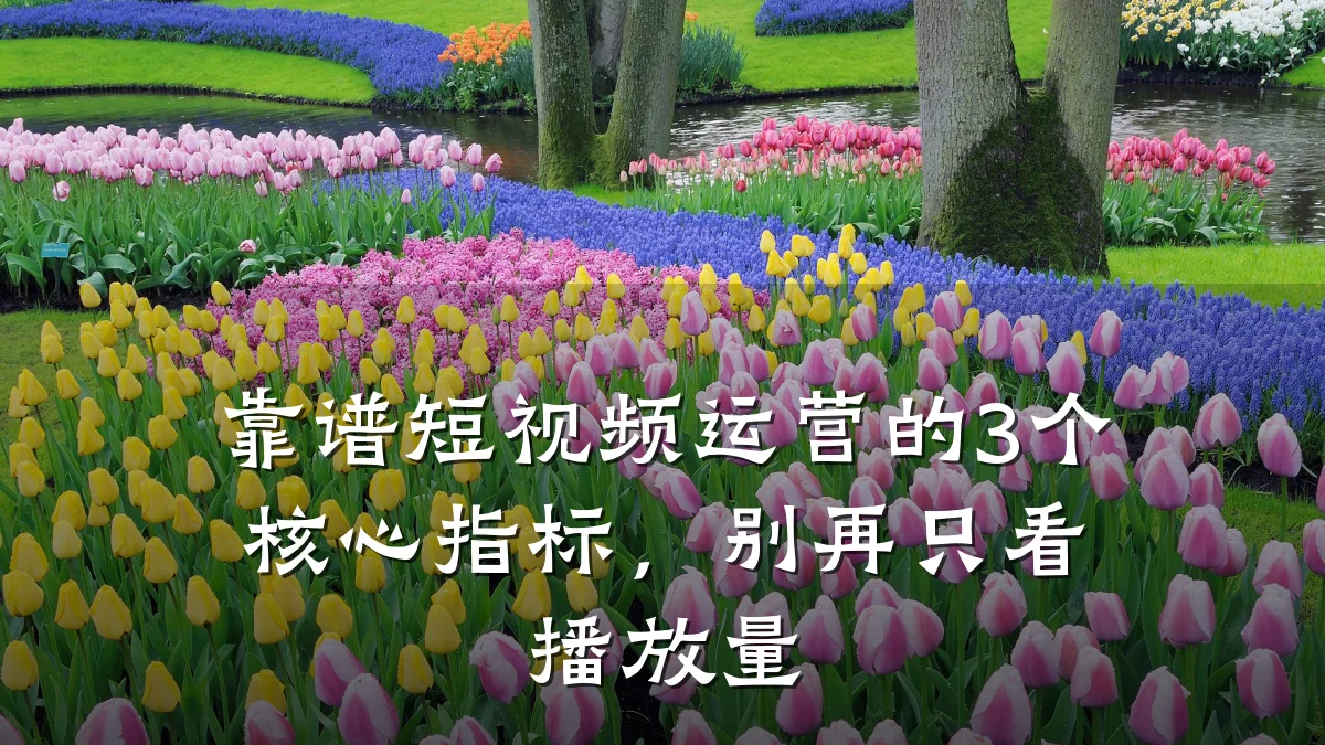 靠谱短视频运营的3个核心指标,别再只看播放量