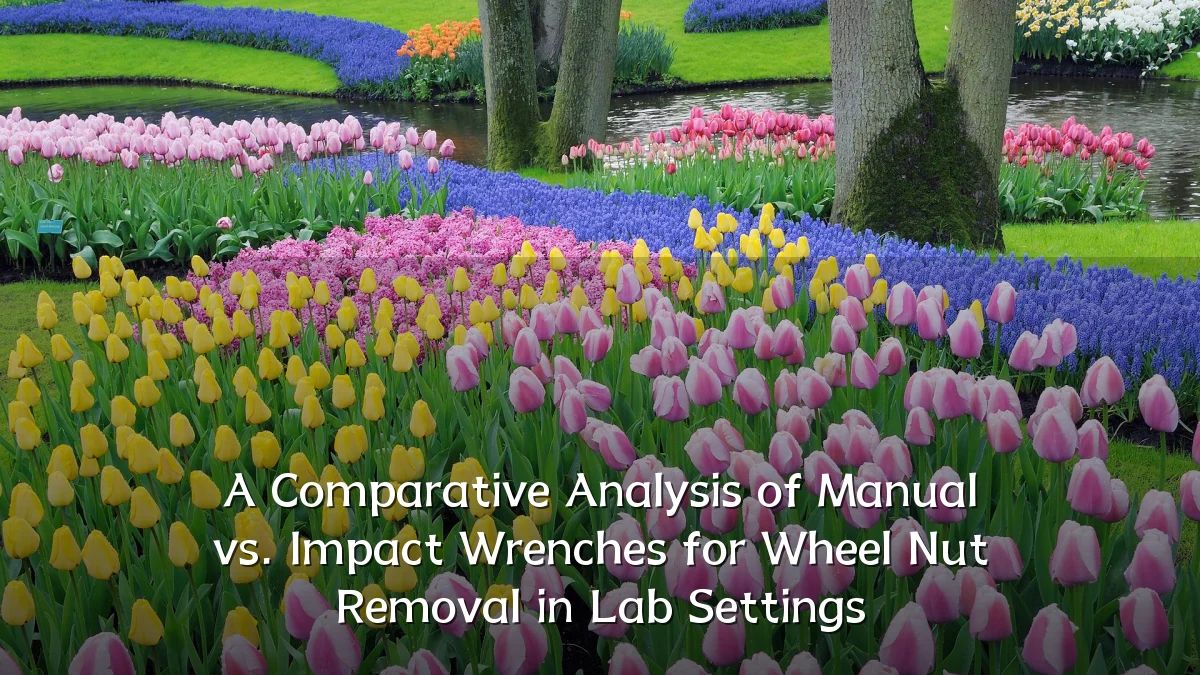 A Comparative Analysis of Manual vs. Impact Wrenches for Wheel Nut Removal in Lab Settings