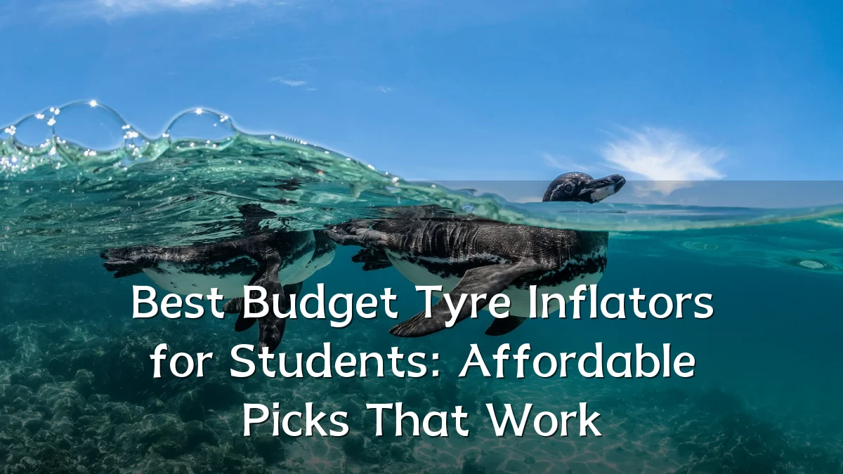 Best Budget Tyre Inflators for Students: Affordable Picks That Work