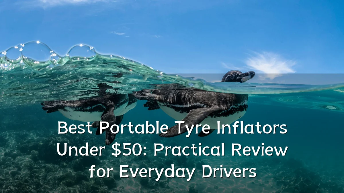 Best Portable Tyre Inflators Under $50: Practical Review for Everyday Drivers