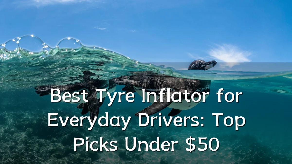 Best Tyre Inflator for Everyday Drivers: Top Picks Under $50