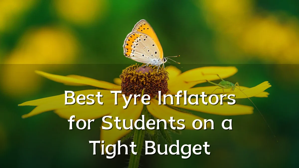 Best Tyre Inflators for Students on a Tight Budget