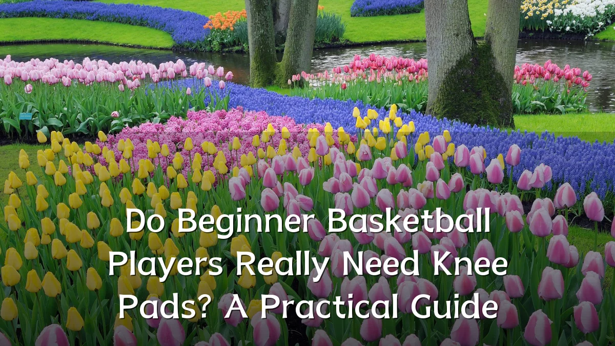 Do Beginner Basketball Players Really Need Knee Pads? A Practical Guide