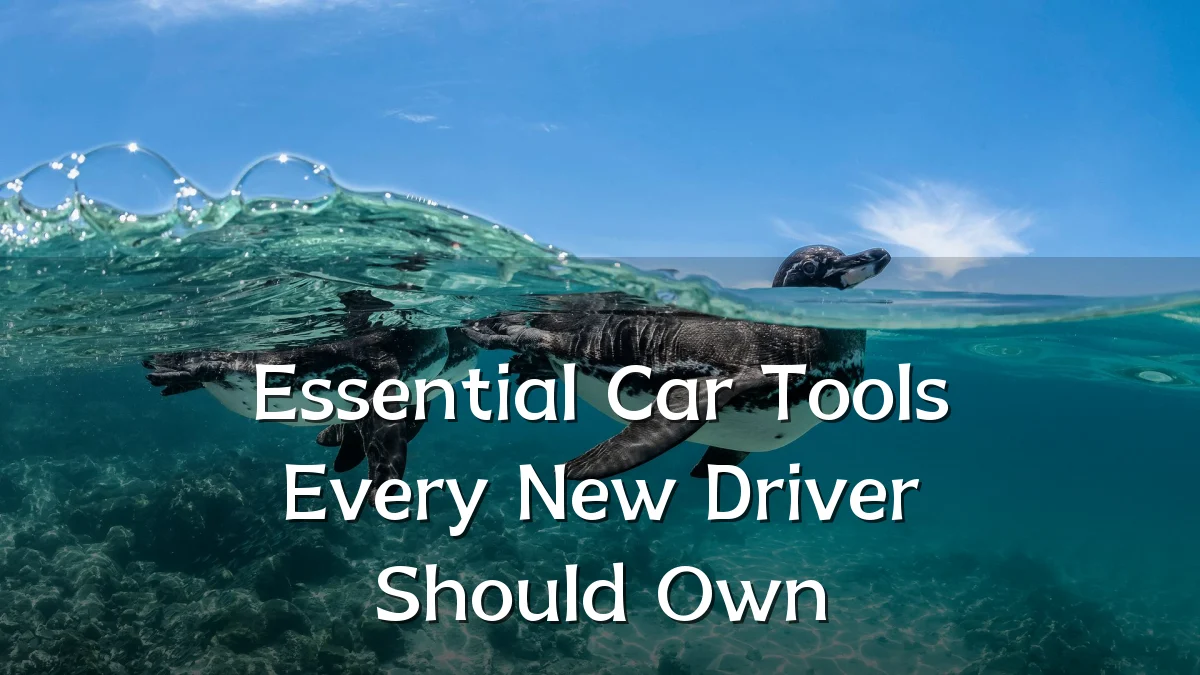 Essential Car Tools Every New Driver Should Own