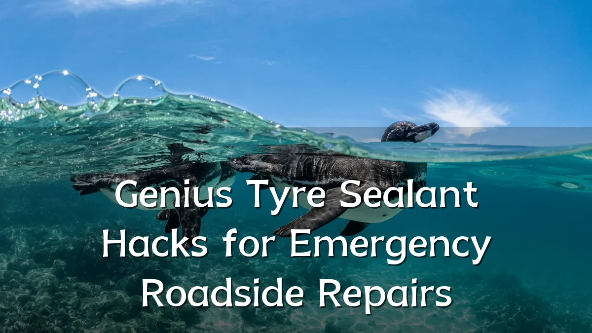 Genius Tyre Sealant Hacks for Emergency Roadside Repairs