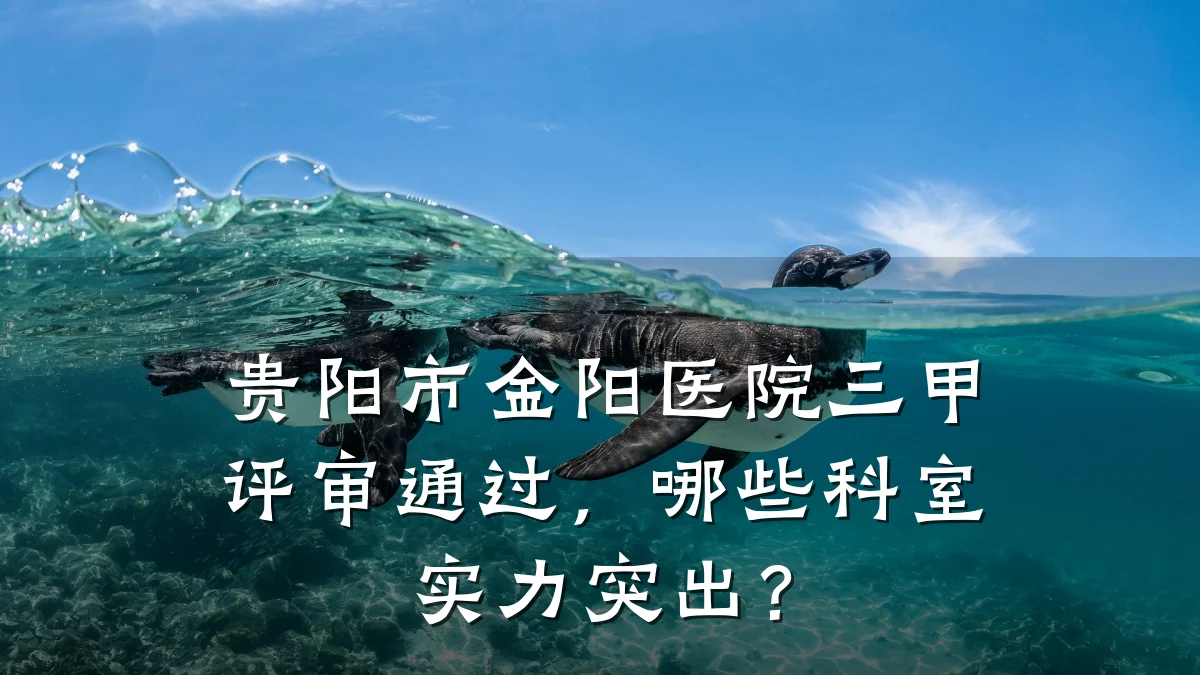 贵阳市金阳医院三甲评审通过，哪些科室实力突出？