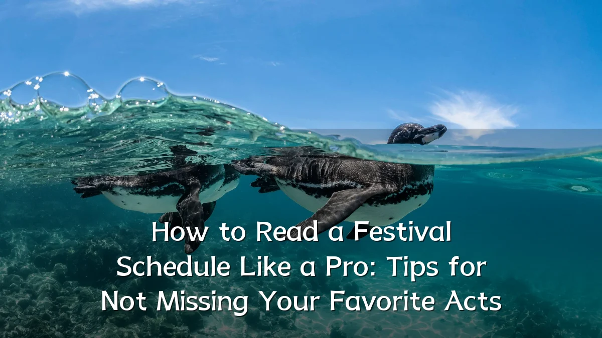 How to Read a Festival Schedule Like a Pro: Tips for Not Missing Your Favorite Acts