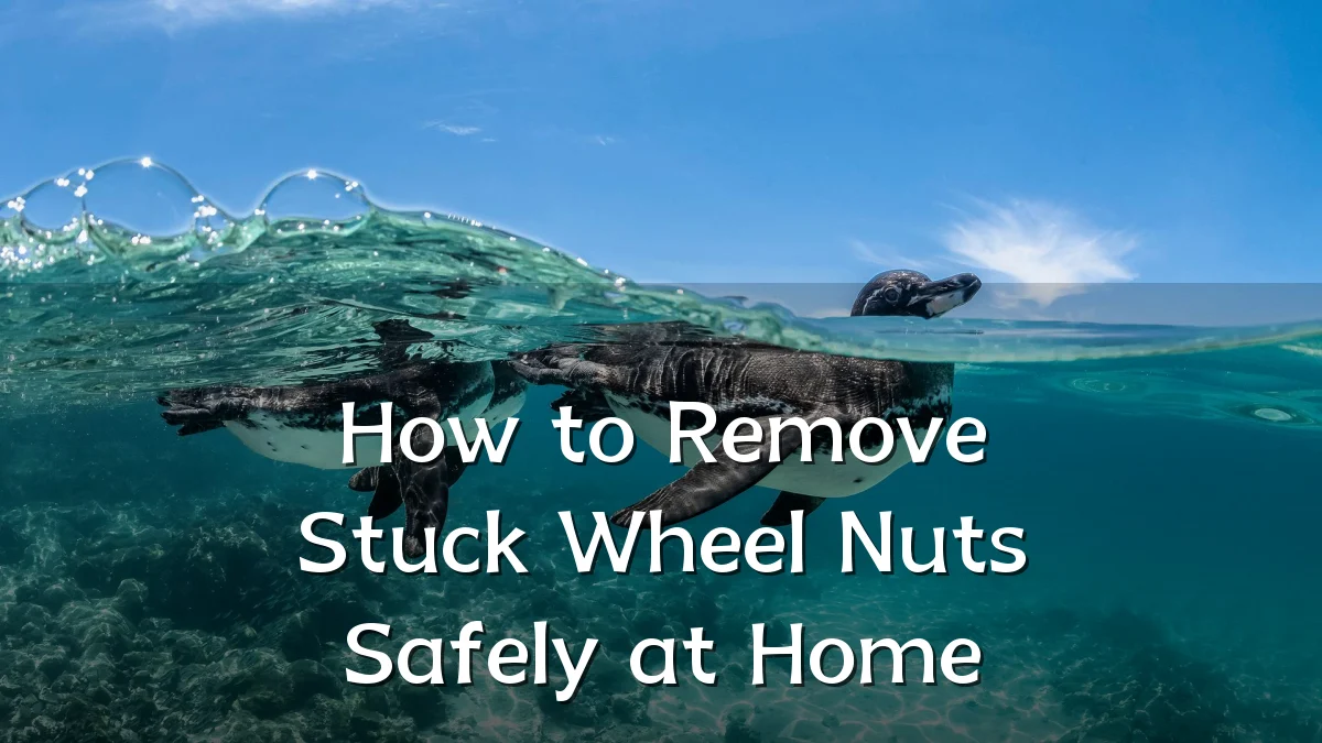How to Remove Stuck Wheel Nuts Safely at Home