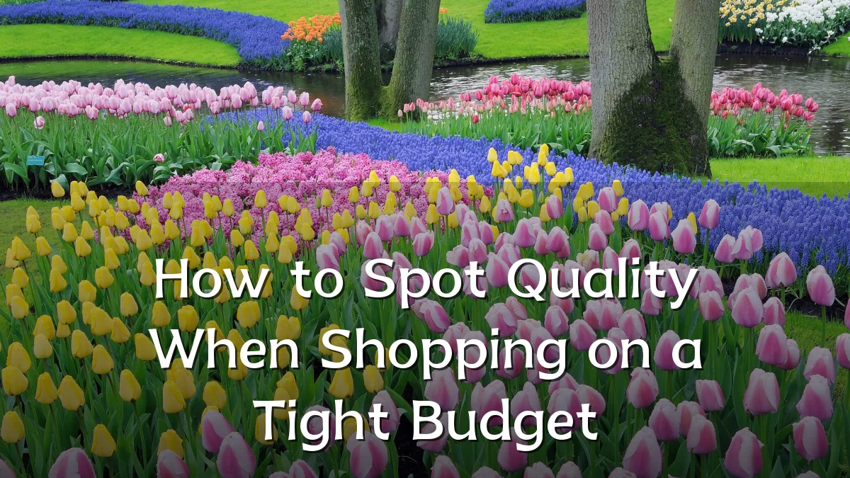How to Spot Quality When Shopping on a Tight Budget
