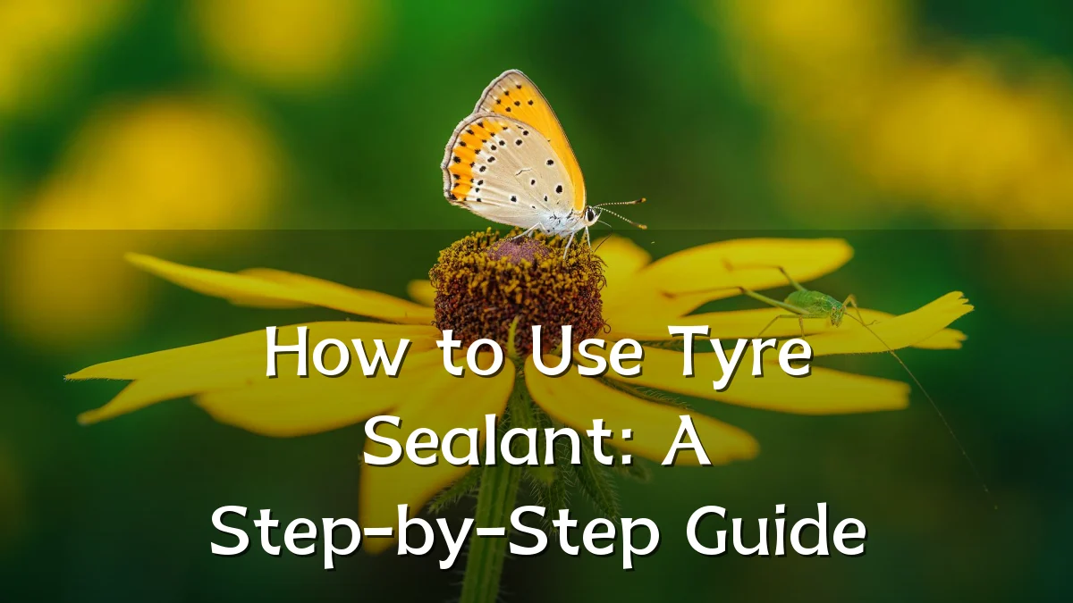How to Use Tyre Sealant: A Step-by-Step Guide