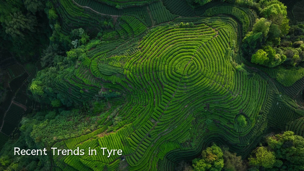 Recent Trends in Tyre