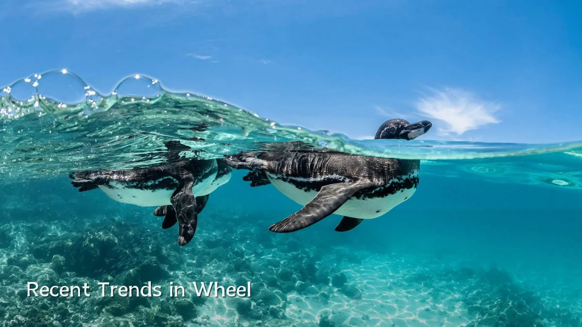 Recent Trends in Wheel