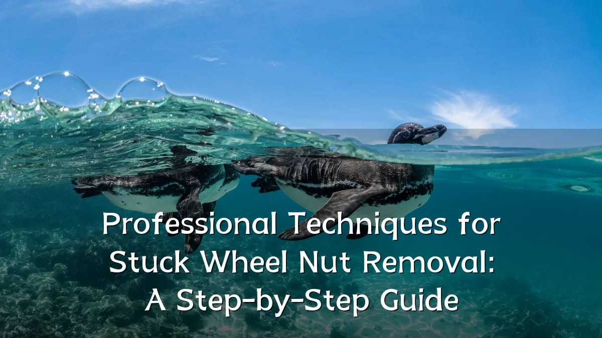 Professional Techniques for Stuck Wheel Nut Removal: A Step-by-Step Guide