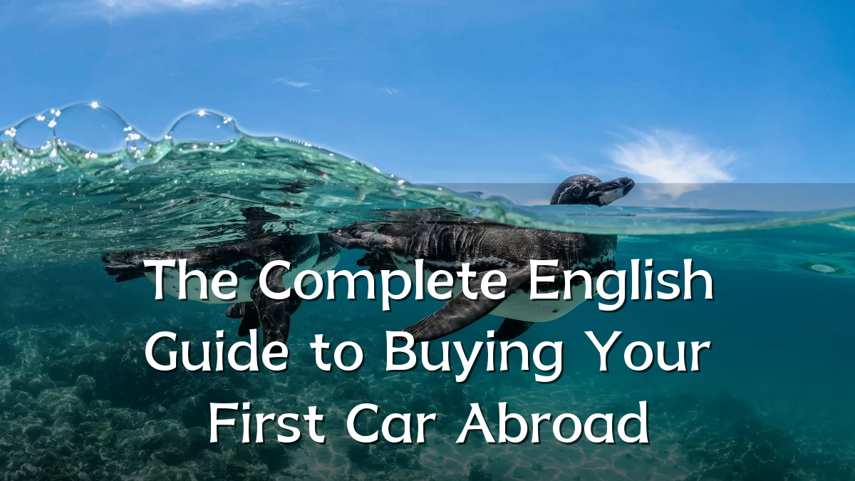 The Complete English Guide to Buying Your First Car Abroad