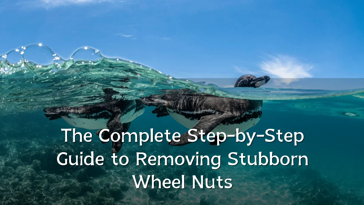The Complete Step-by-Step Guide to Removing Stubborn Wheel Nuts
