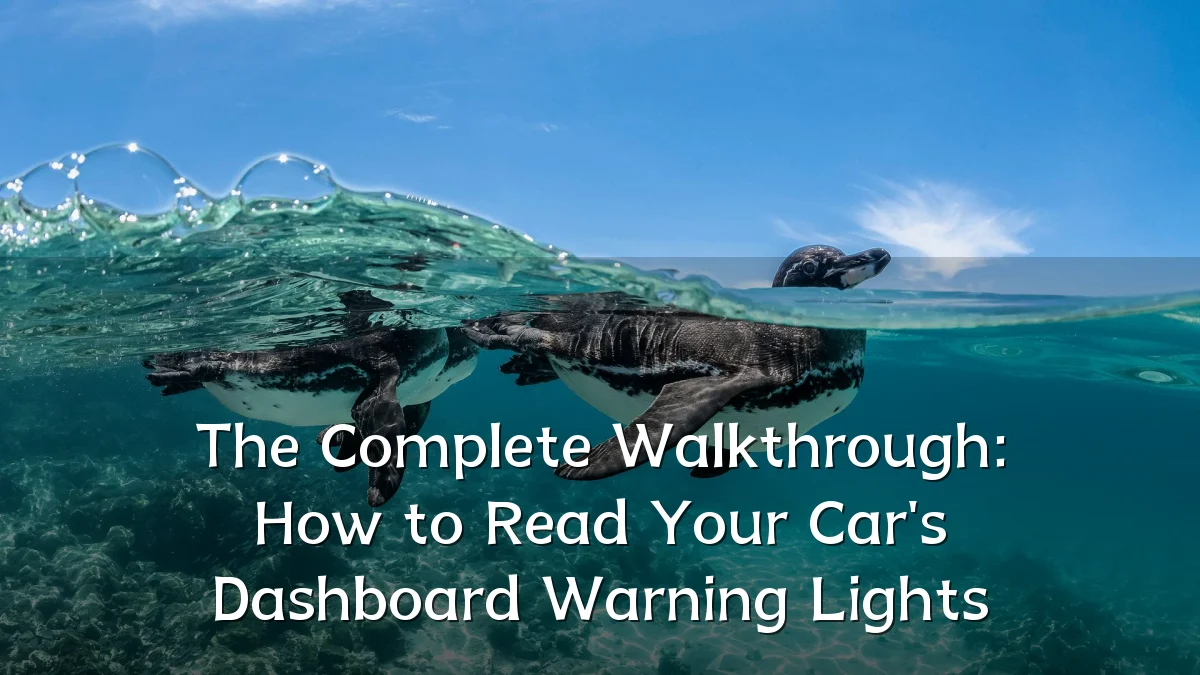 The Complete Walkthrough: How to Read Your Car's Dashboard Warning Lights