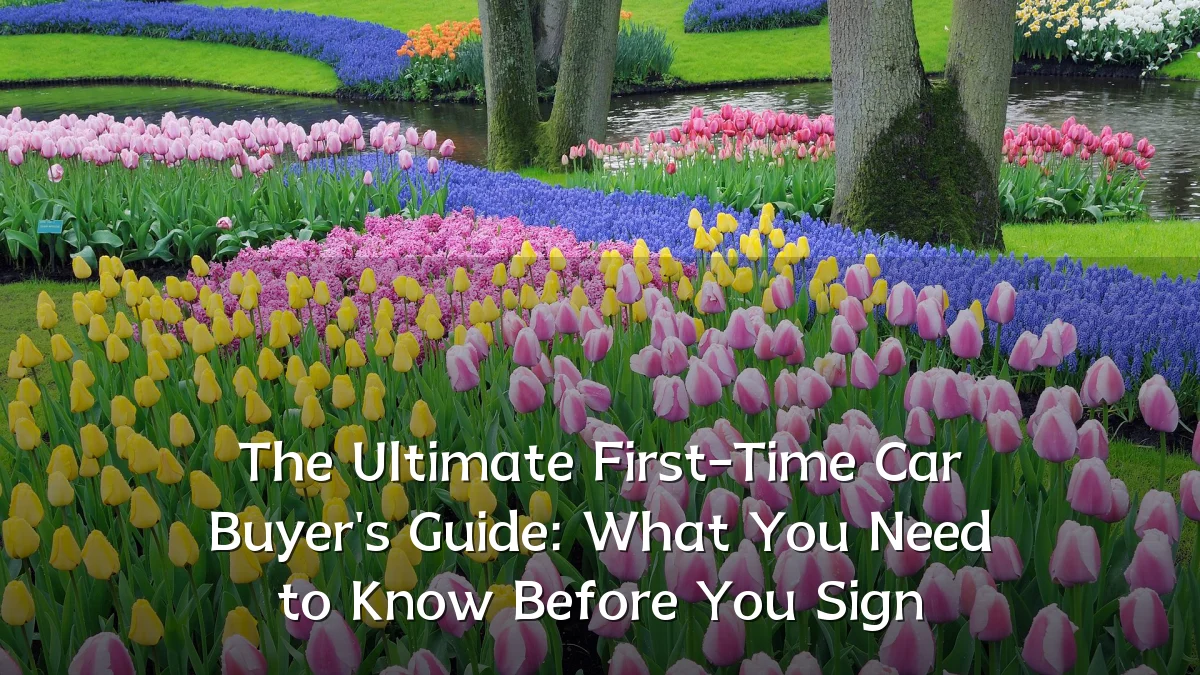 The Ultimate First-Time Car Buyer's Guide: What You Need to Know Before You Sign