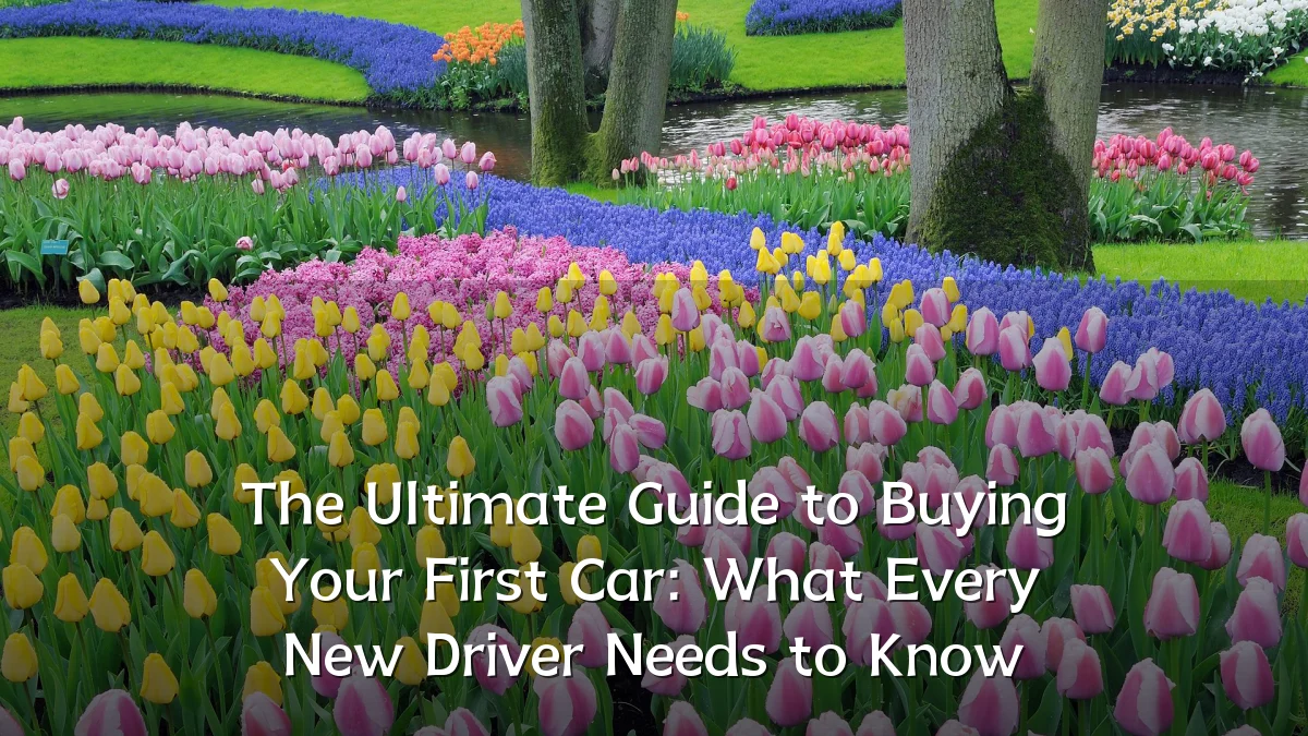 The Ultimate Guide to Buying Your First Car: What Every New Driver Needs to Know