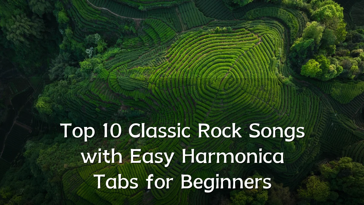 Top 10 Classic Rock Songs with Easy Harmonica Tabs for Beginners