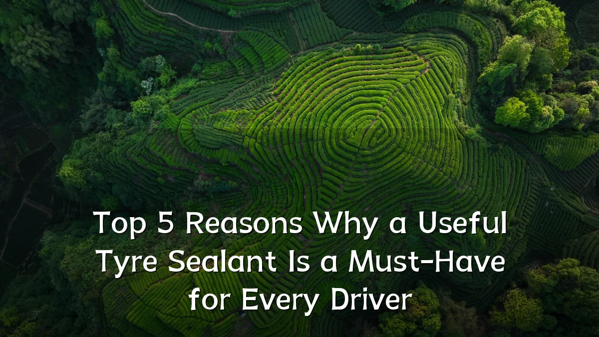 Top 5 Reasons Why a Useful Tyre Sealant Is a Must-Have for Every Driver