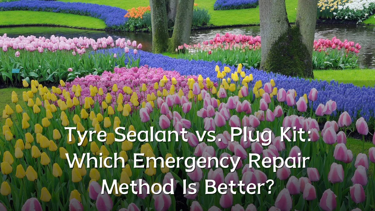 Tyre Sealant vs. Plug Kit: Which Emergency Repair Method Is Better?
