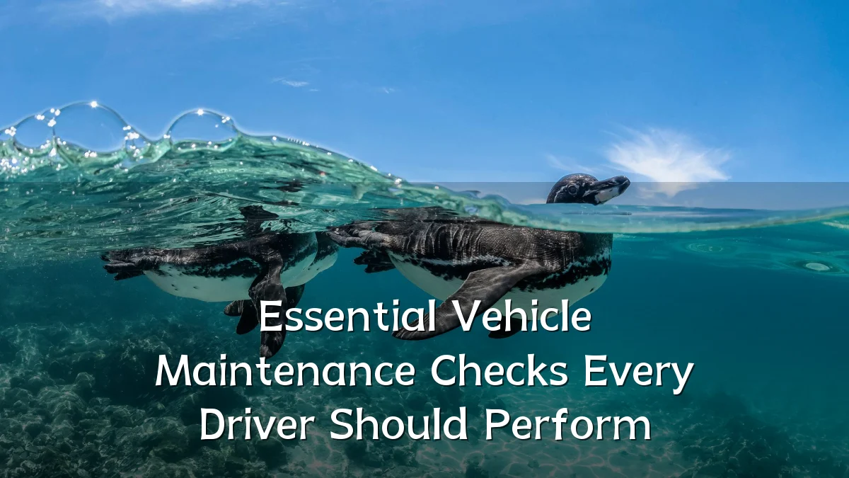 Essential Vehicle Maintenance Checks Every Driver Should Perform