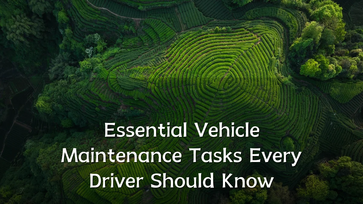 Essential Vehicle Maintenance Tasks Every Driver Should Know