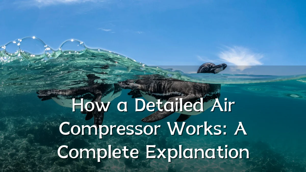 How a Detailed Air Compressor Works: A Complete Explanation