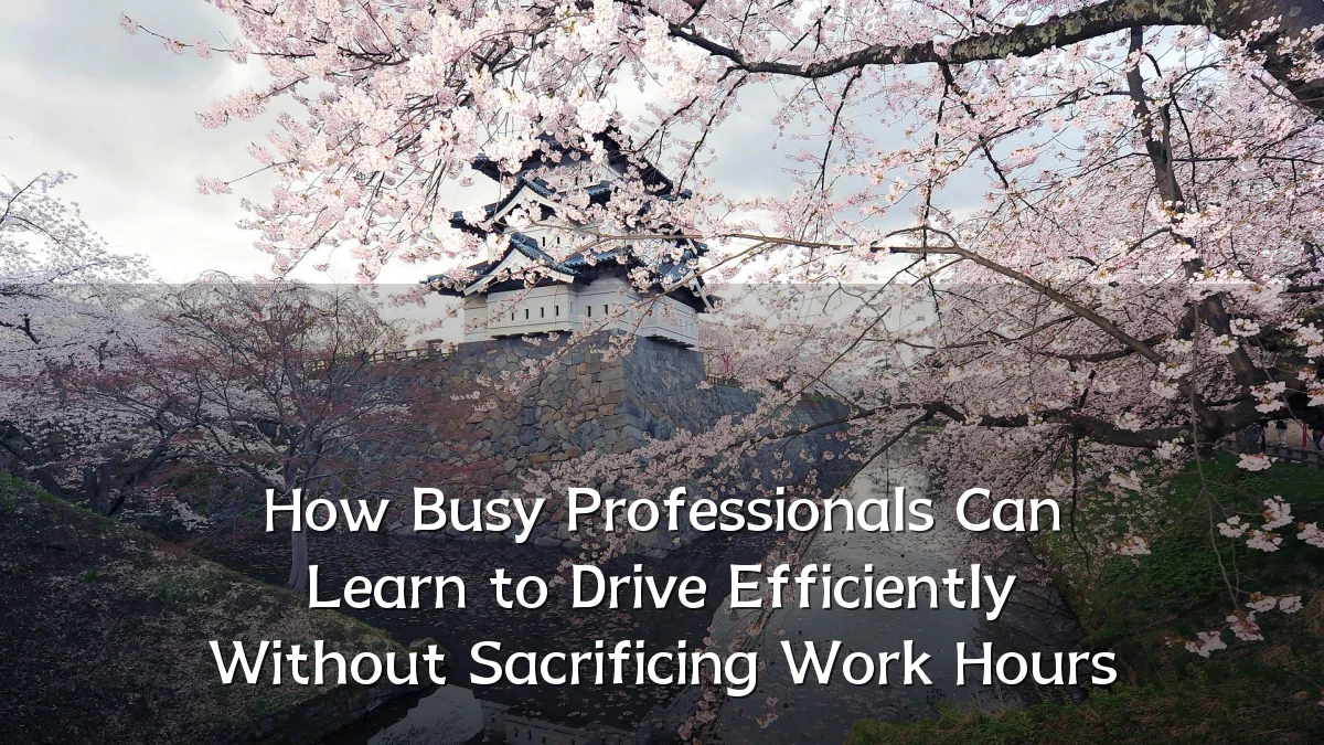 How Busy Professionals Can Learn to Drive Efficiently Without Sacrificing Work Hours