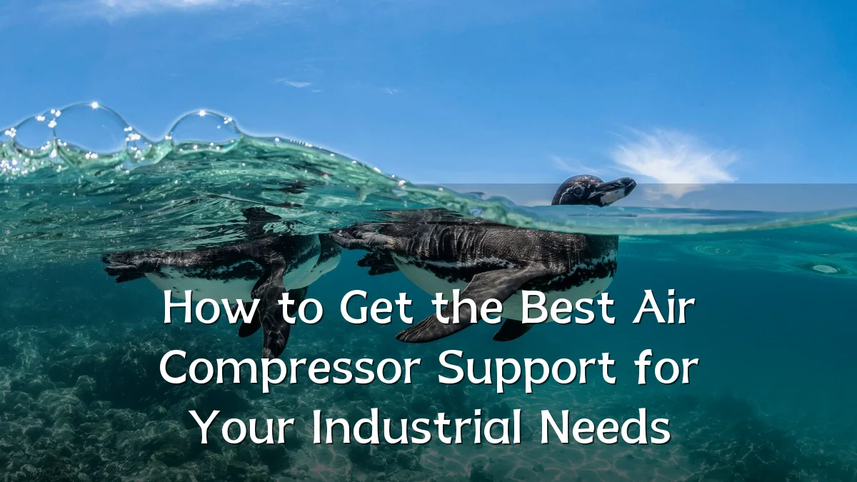 How to Get the Best Air Compressor Support for Your Industrial Needs