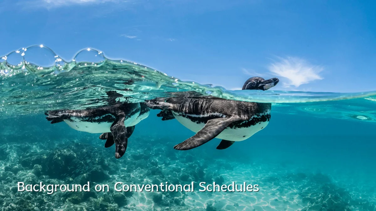 Background on Conventional Schedules
