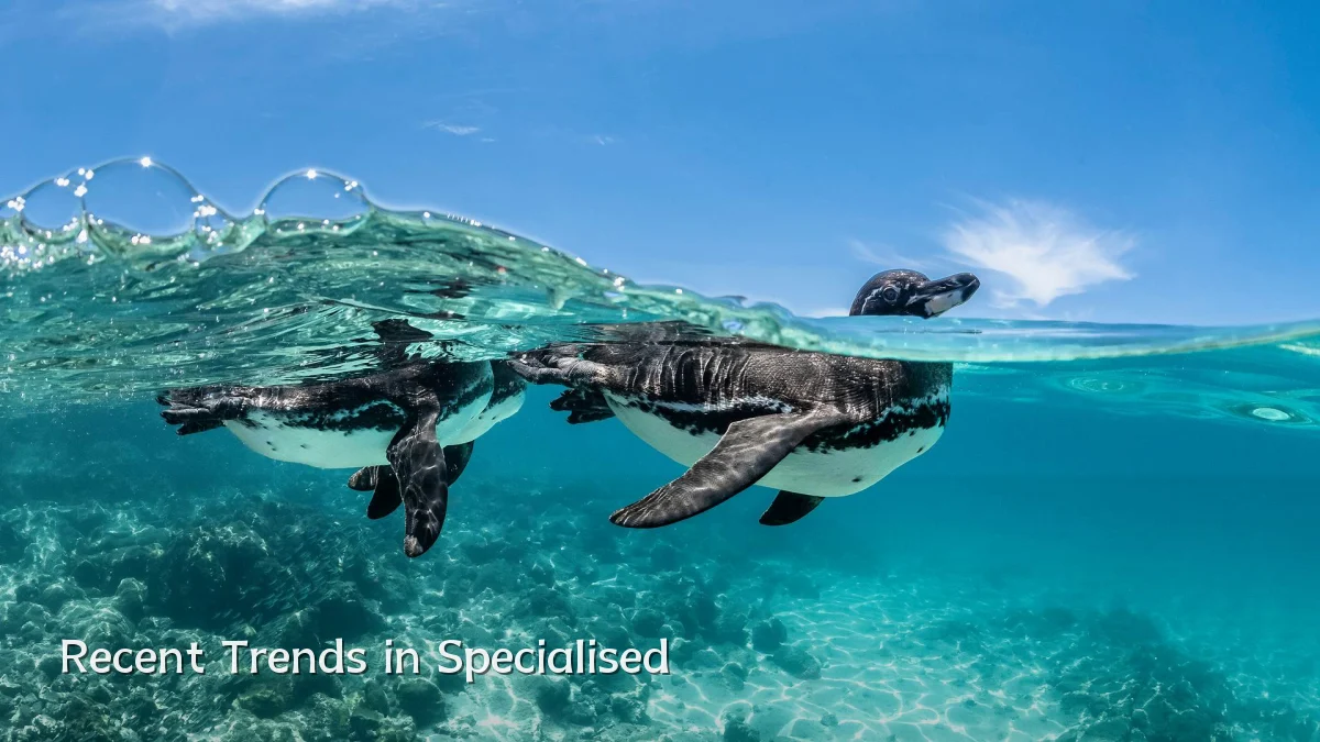 Recent Trends in Specialised