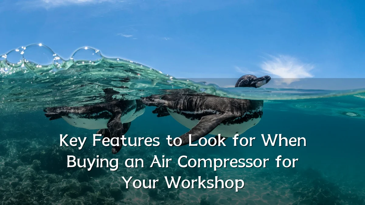 Key Features to Look for When Buying an Air Compressor for Your Workshop