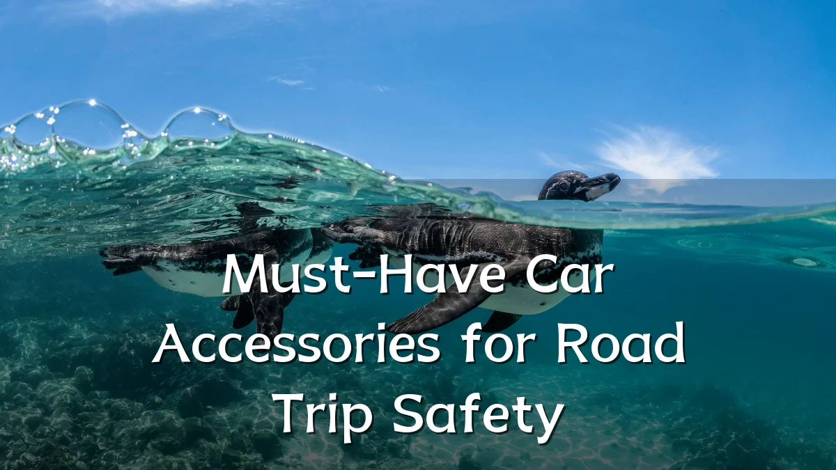 Must-Have Car Accessories for Road Trip Safety