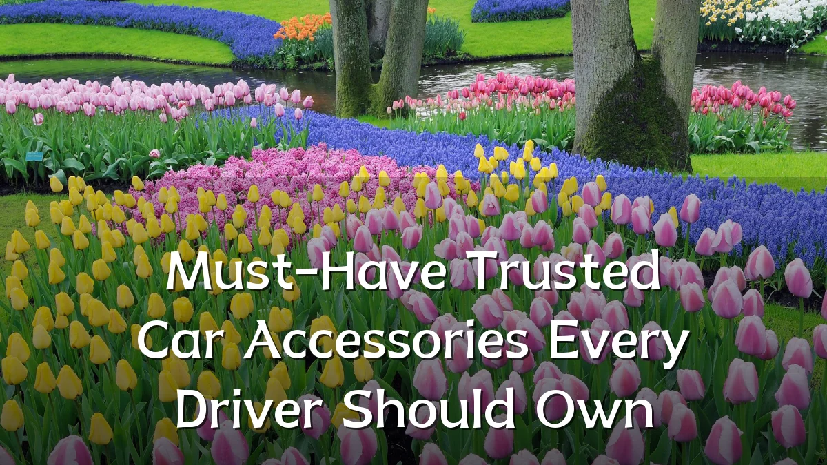 Must-Have Trusted Car Accessories Every Driver Should Own