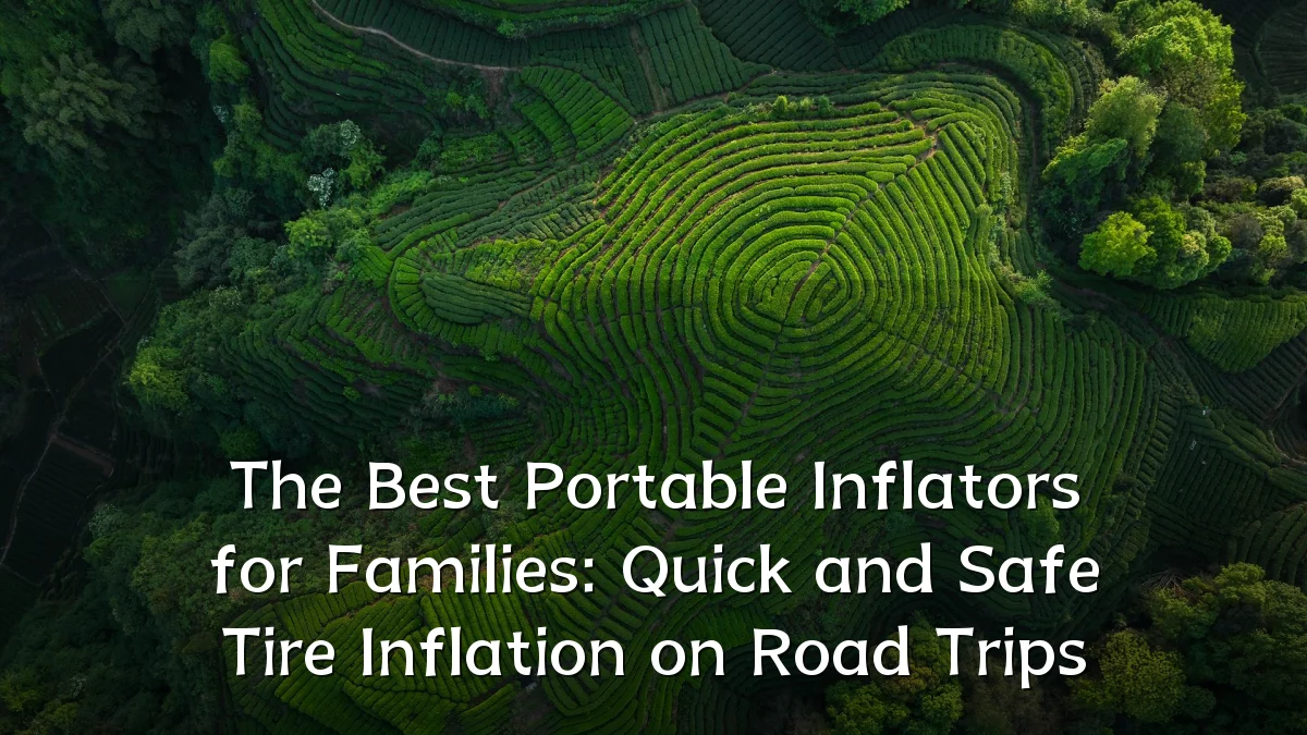 The Best Portable Inflators for Families: Quick and Safe Tire Inflation on Road Trips