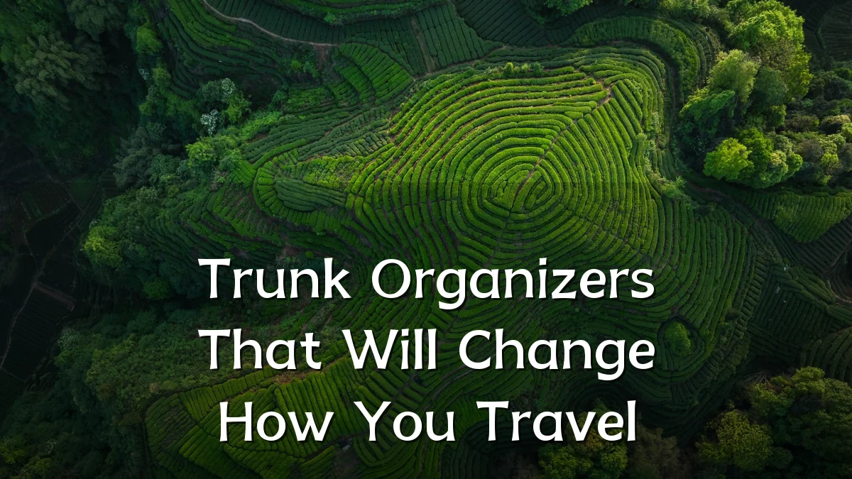 Trunk Organizers That Will Change How You Travel