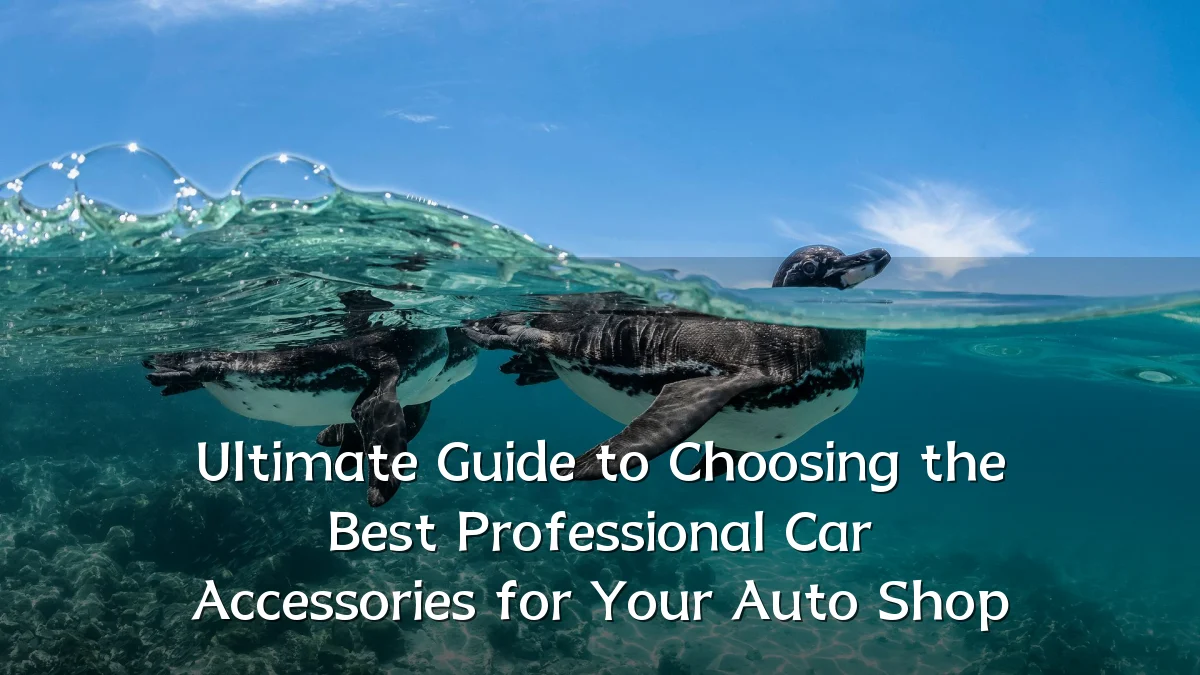 Ultimate Guide to Choosing the Best Professional Car Accessories for Your Auto Shop