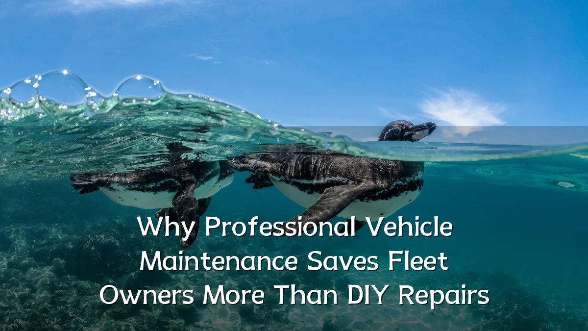 Why Professional Vehicle Maintenance Saves Fleet Owners More Than DIY Repairs