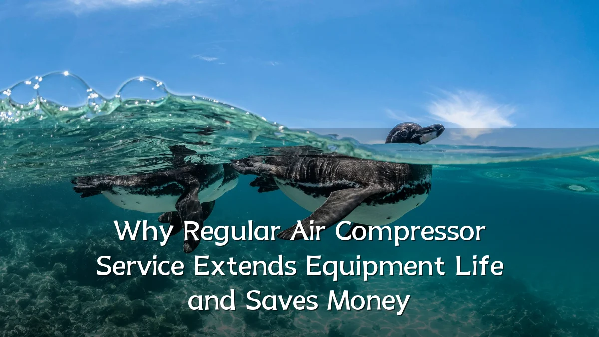Why Regular Air Compressor Service Extends Equipment Life and Saves Money
