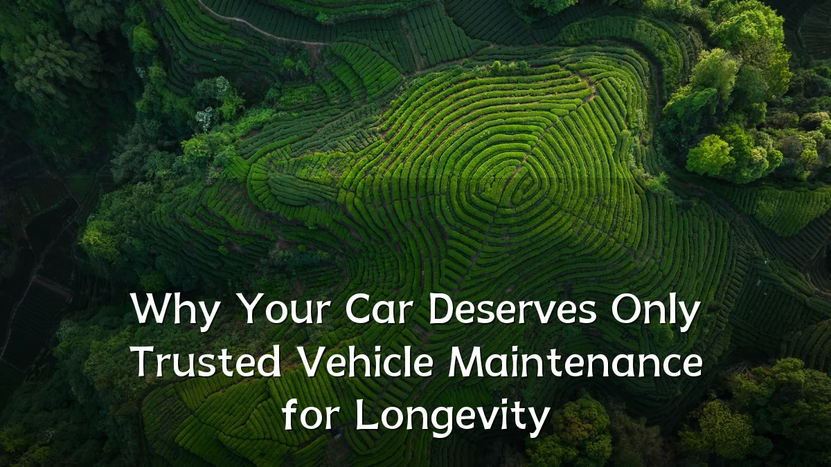 Why Your Car Deserves Only Trusted Vehicle Maintenance for Longevity