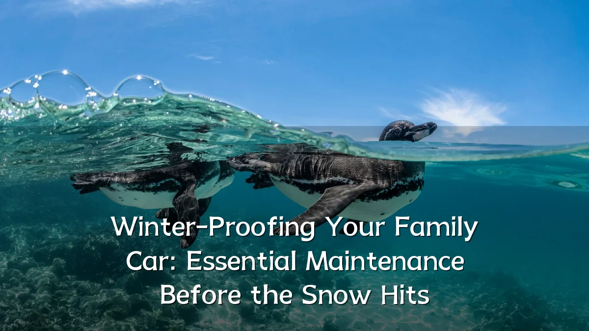 Winter-Proofing Your Family Car: Essential Maintenance Before the Snow Hits