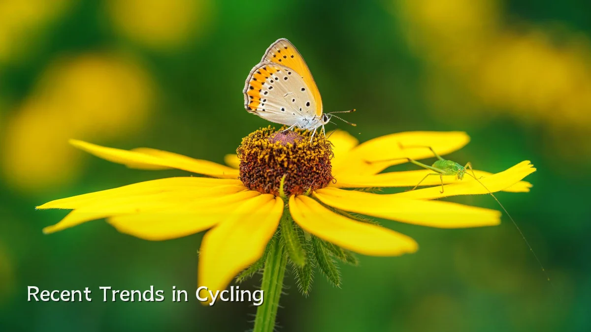 Recent Trends in Cycling