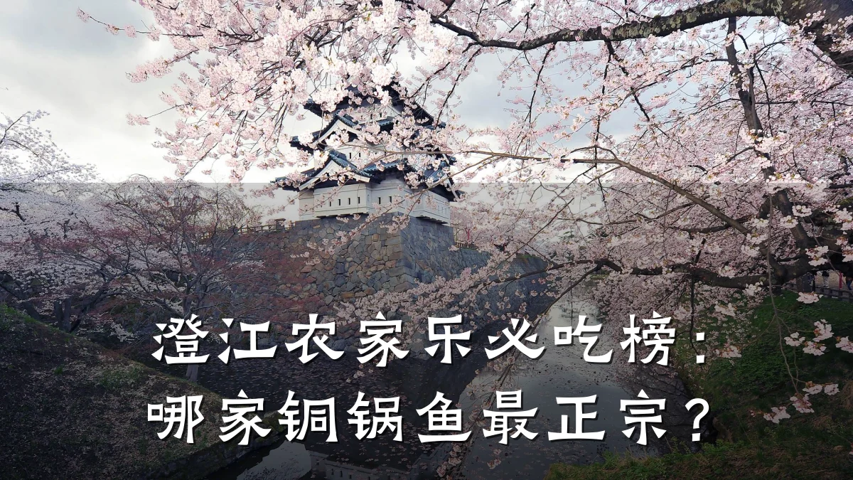 澄江农家乐必吃榜:哪家铜锅鱼最正宗?