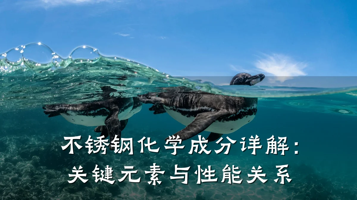 不锈钢化学成分详解:关键元素与性能关系