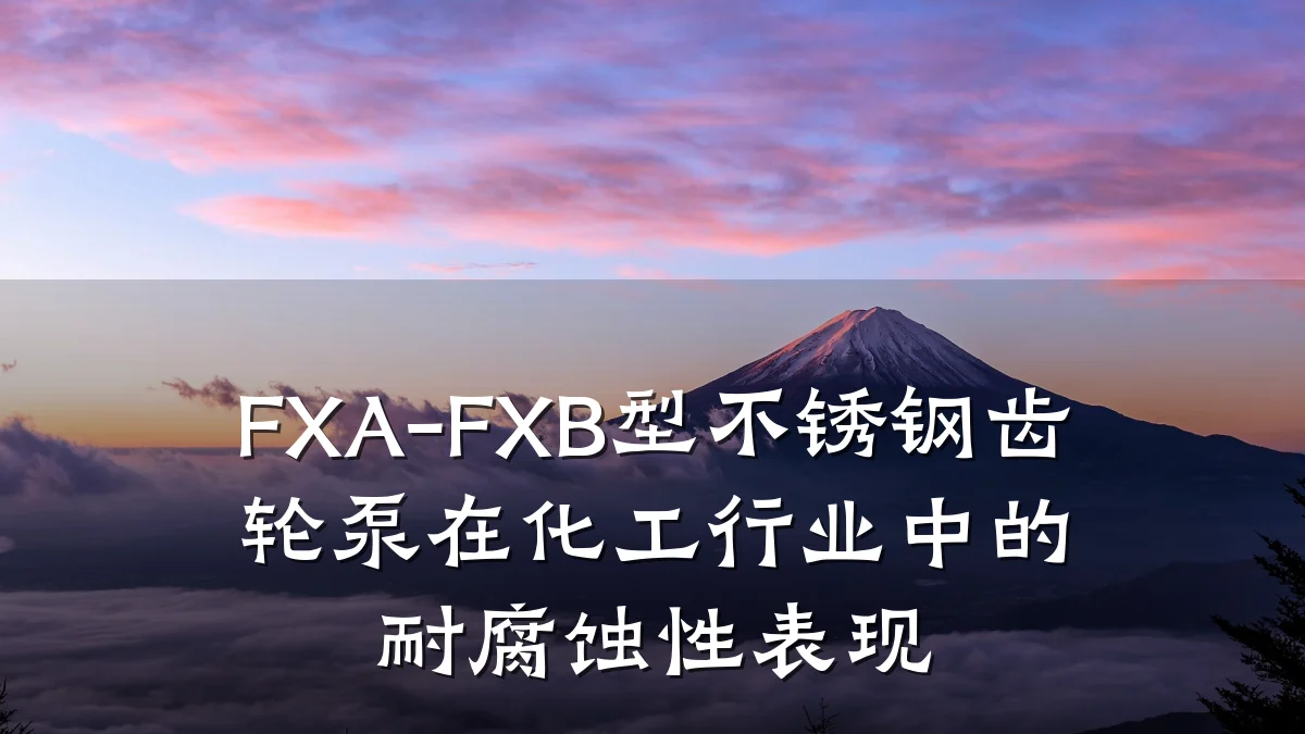 FXA-FXB型不锈钢齿轮泵在化工行业中的耐腐蚀性表现