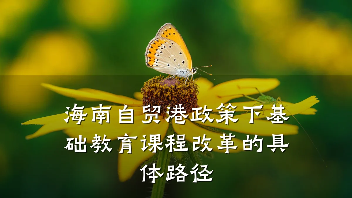 海南自贸港政策下基础教育课程改革的具体路径